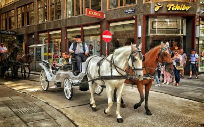 The Viennese Fiaker: A Photo Story