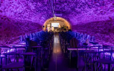 A Symphony of Hope: A Night of Music, Memory, and Mission in Vienna